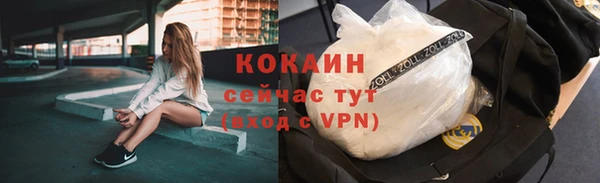 соль ск Богданович