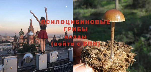 соль ск Богданович