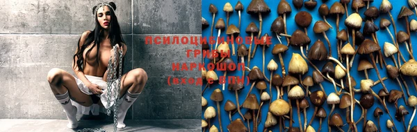 эйфоретик Белоозёрский