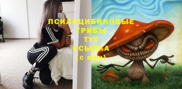шишки Беломорск