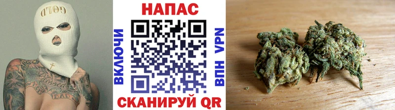 kraken как зайти  Улан-Удэ  Каннабис планчик 